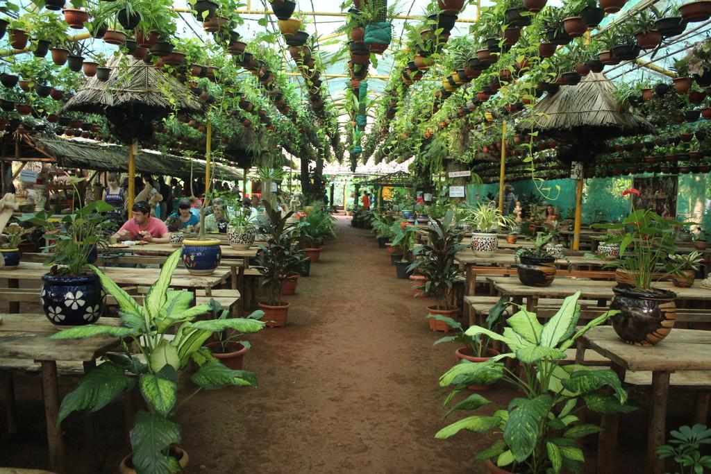 Jungle Book Resort Collem Exterior photo